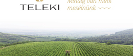 Exkluzív Teleki borválogatás szállodánkban